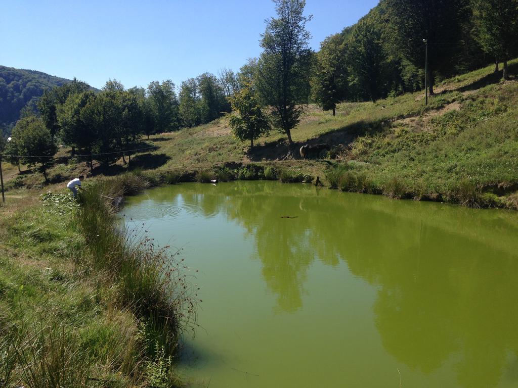 Pensiunea Poiana Verde Slănic-Moldova Екстериор снимка